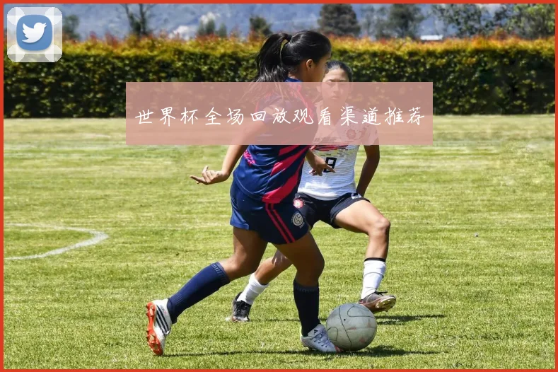 世界杯全场回放观看渠道推荐