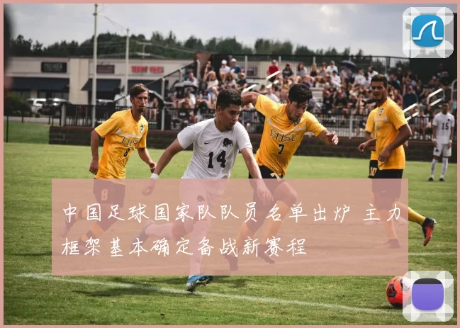 中国足球国家队队员名单出炉 主力框架基本确定备战新赛程
