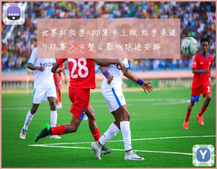 世界杯购票app集中上线 购票渠道与观赛入口整合影响球迷安排
