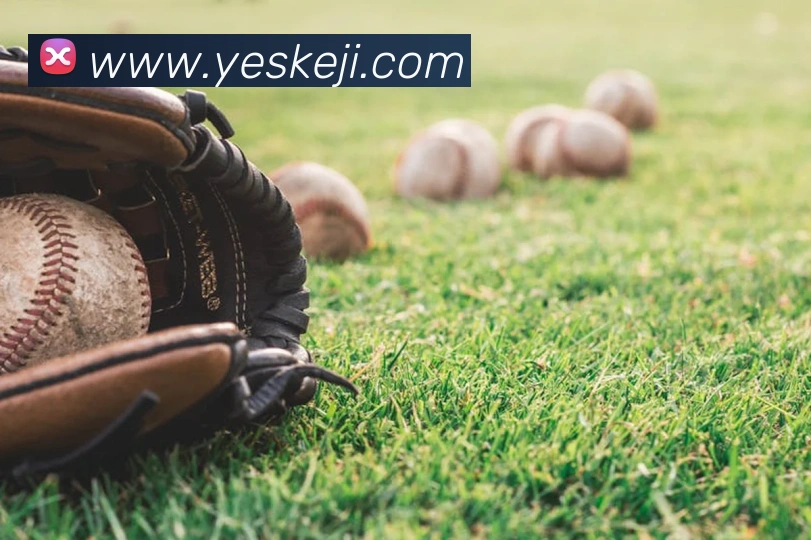 mksports最新消息服务体系